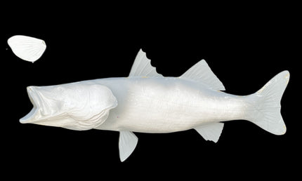 42-INCH COMMON SNOOK BLANK, STANDARD