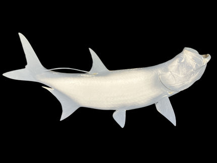 42-INCH TARPON BLANK, STANDARD