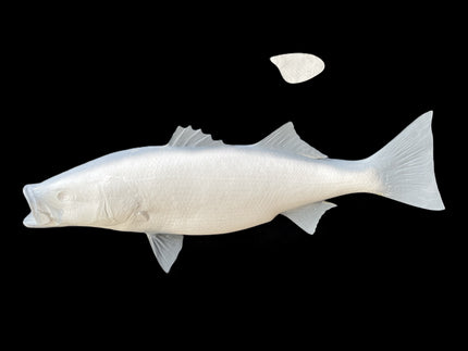 42-INCH STRIPED BASS BLANK, STANDARD