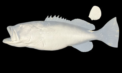 43-INCH BLACK GROUPER BLANK, STANDARD