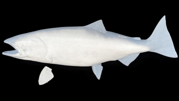 43-INCH KING SALMON BLANK, STANDARD