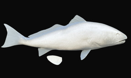 43-INCH REDFISH BLANK, STANDARD