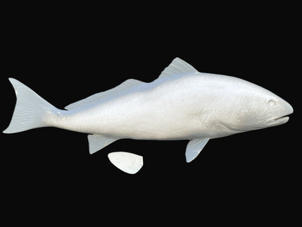 43-INCH REDFISH BLANK, STANDARD