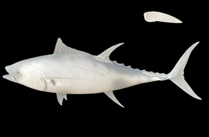 44-INCH YELLOWFIN TUNA BLANK, STANDARD