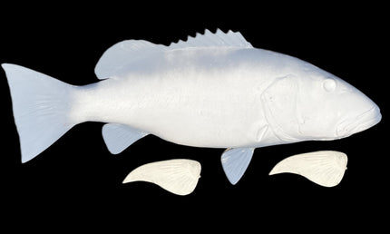 45-INCH CUBERA SNAPPER BLANK, STANDARD