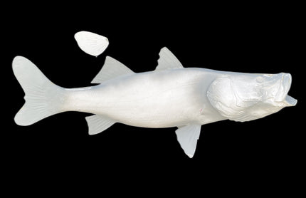45-INCH COMMON SNOOK BLANK, STANDARD