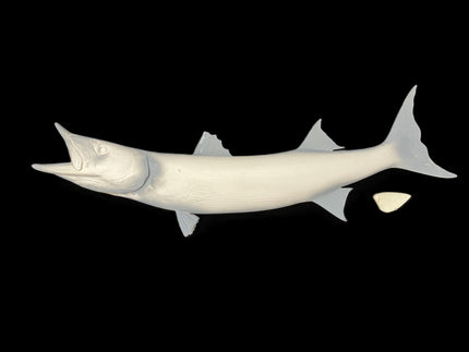46-INCH BARRACUDA BLANK, STANDARD