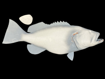 46-INCH BLACK GROUPER BLANK, STANDARD