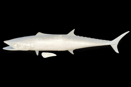 46-INCH KINGFISH BLANK, STANDARD