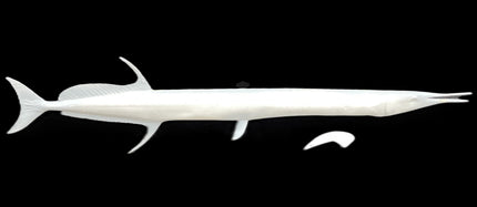46-INCH NEEDLEFISH BLANK, STANDARD