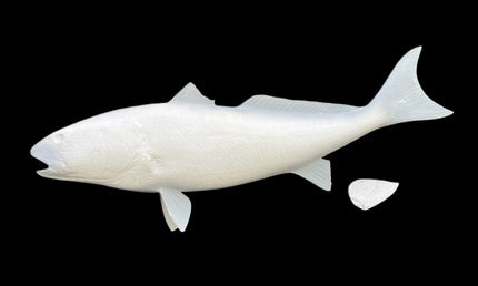46-INCH REDFISH BLANK, STANDARD