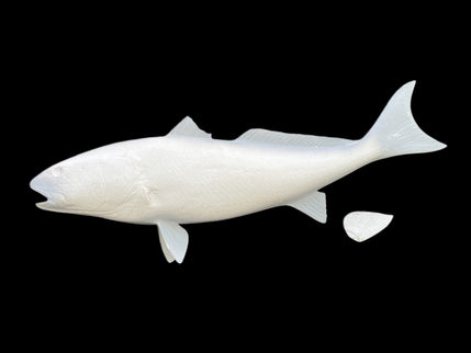 46-INCH REDFISH BLANK, STANDARD