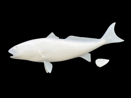 46-INCH REDFISH BLANK, STANDARD