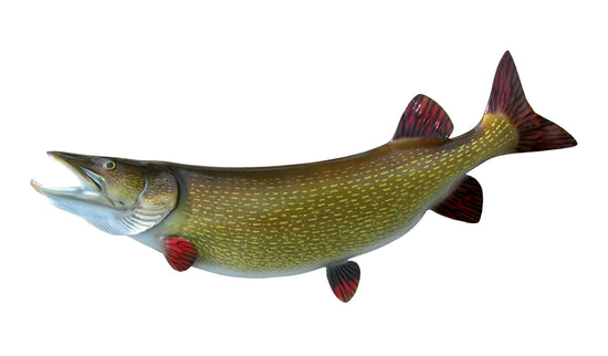 46-INCH NORTHERN PIKE, HALF-SIDED