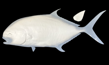 47-INCH PERMIT BLANK, STANDARD