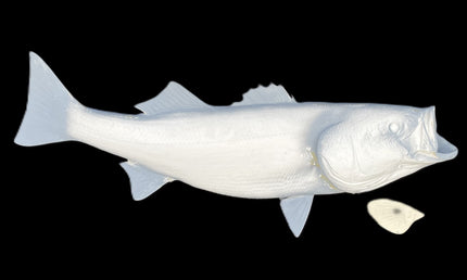 47-INCH STRIPED BASS BLANK, STANDARD