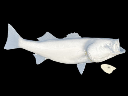 47-INCH STRIPED BASS BLANK, STANDARD