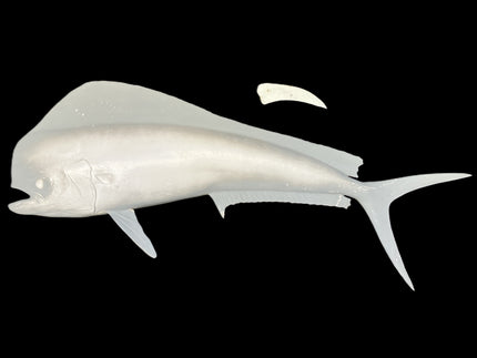 48-INCH BULL DOLPHIN BLANK, STANDARD