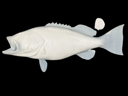 48-INCH BLACK GROUPER BLANK, STANDARD