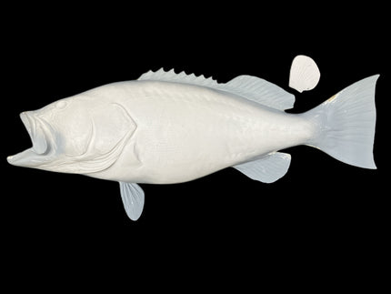48-INCH BLACK GROUPER BLANK, STANDARD