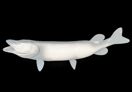 48-INCH MUSKIE BLANK, STANDARD