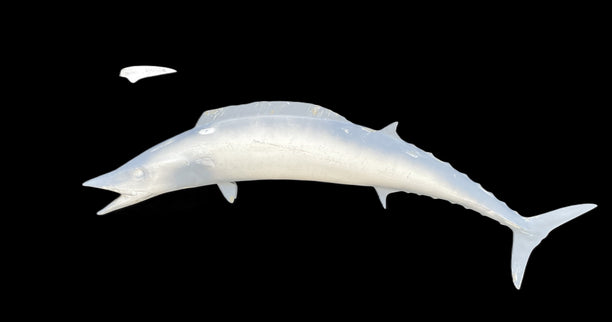 48-INCH WAHOO BLANK, STANDARD