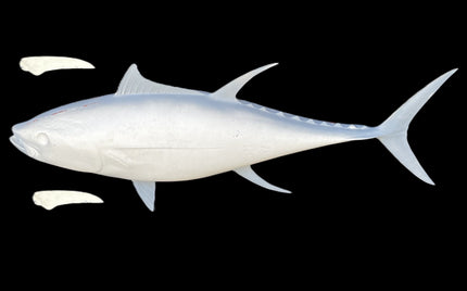 48-INCH YELLOWFIN TUNA BLANK, STANDARD