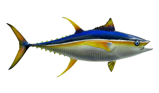 48-INCH YELLOWFIN TUNA, HALF-SIDED