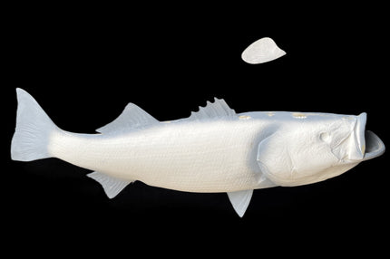 48-INCH STRIPED BASS BLANK, STANDARD