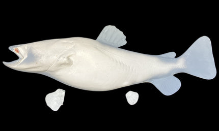 49-INCH CATFISH BLANK, STANDARD