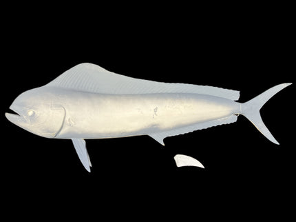 49-INCH COW DOLPHIN BLANK, STANDARD