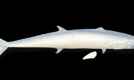 49-INCH KINGFISH BLANK, STANDARD