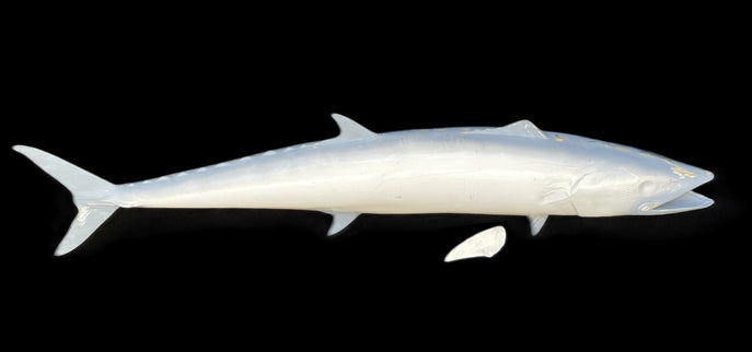 49-INCH KINGFISH BLANK, STANDARD