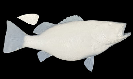 49-INCH CUBERA SNAPPER BLANK, STANDARD