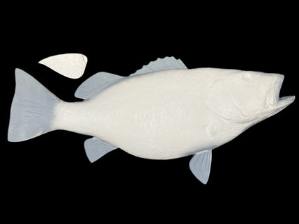 49-INCH CUBERA SNAPPER BLANK, STANDARD