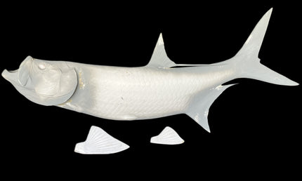 50-INCH TARPON BLANK, STANDARD