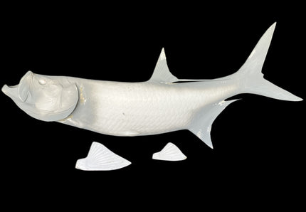 50-INCH TARPON BLANK, STANDARD