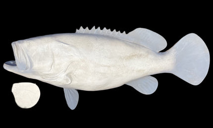 51-INCH JEWFISH BLANK, STANDARD