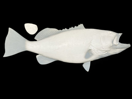 52-INCH BLACK GROUPER BLANK, STANDARD