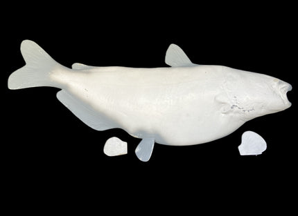 52-INCH CATFISH BLANK, STANDARD