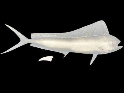 52-INCH COW DOLPHIN BLANK, STANDARD