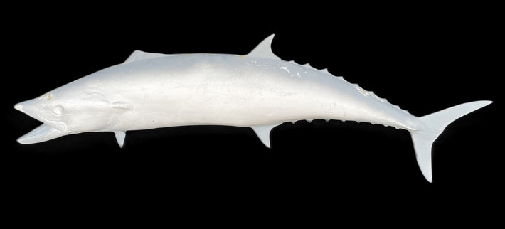 52-INCH KINGFISH BLANK, STANDARD