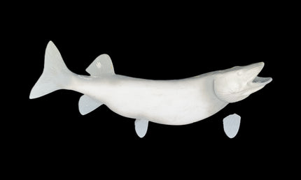 52-INCH MUSKIE BLANK, STANDARD