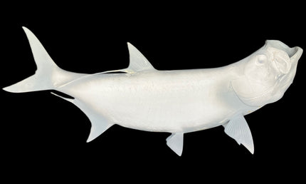 52-INCH TARPON BLANK, STANDARD
