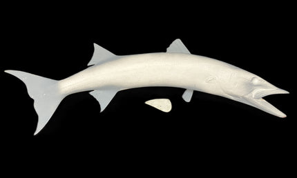 53-INCH BARRACUDA BLANK, STANDARD