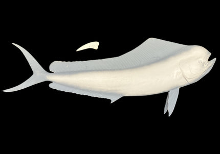 53-INCH COW DOLPHIN BLANK, STANDARD