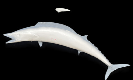 53-INCH WAHOO BLANK, STANDARD