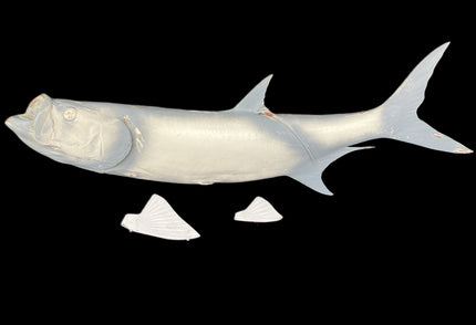 54-INCH TARPON BLANK, STANDARD