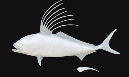 54-INCH ROOSTERFISH BLANK, STANDARD