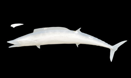 54-INCH WAHOO BLANK, STANDARD